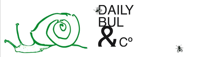Centre Daily-Bul & C°