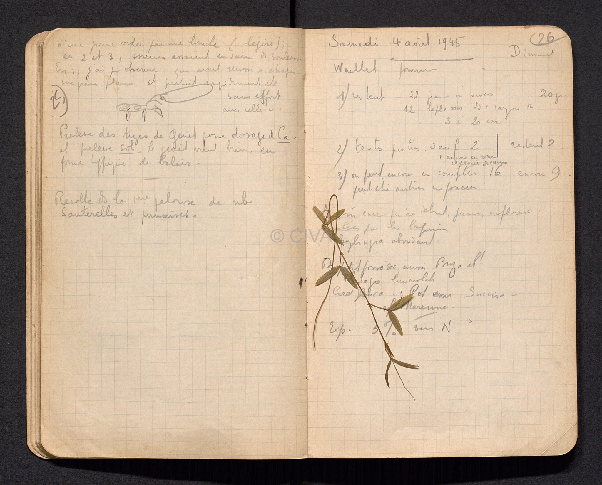 Carnet de terrains