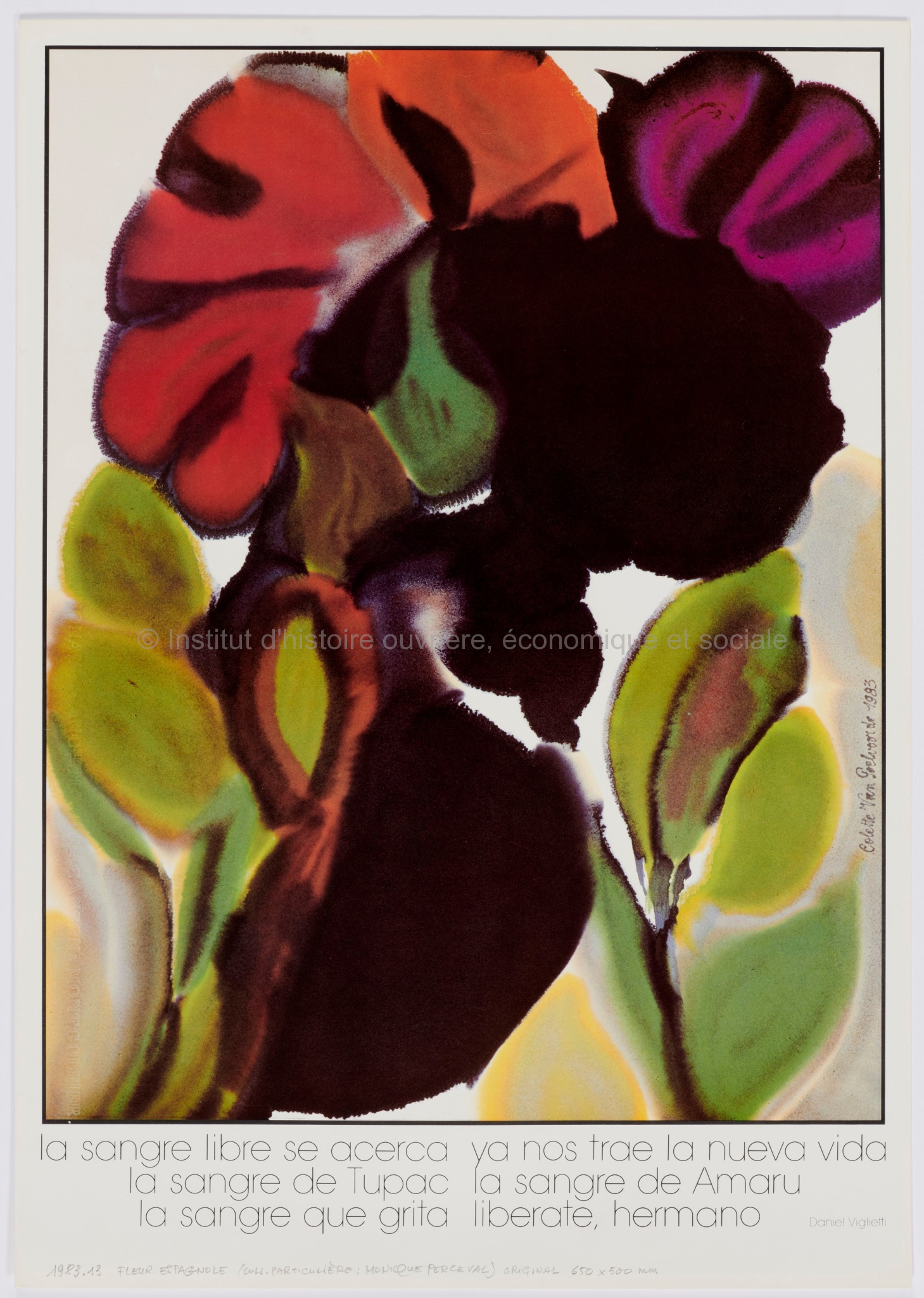 [Exposition Colette Van Poelvoorde - reproduction de son oeuvre "Fleur espagnole" (1983)]