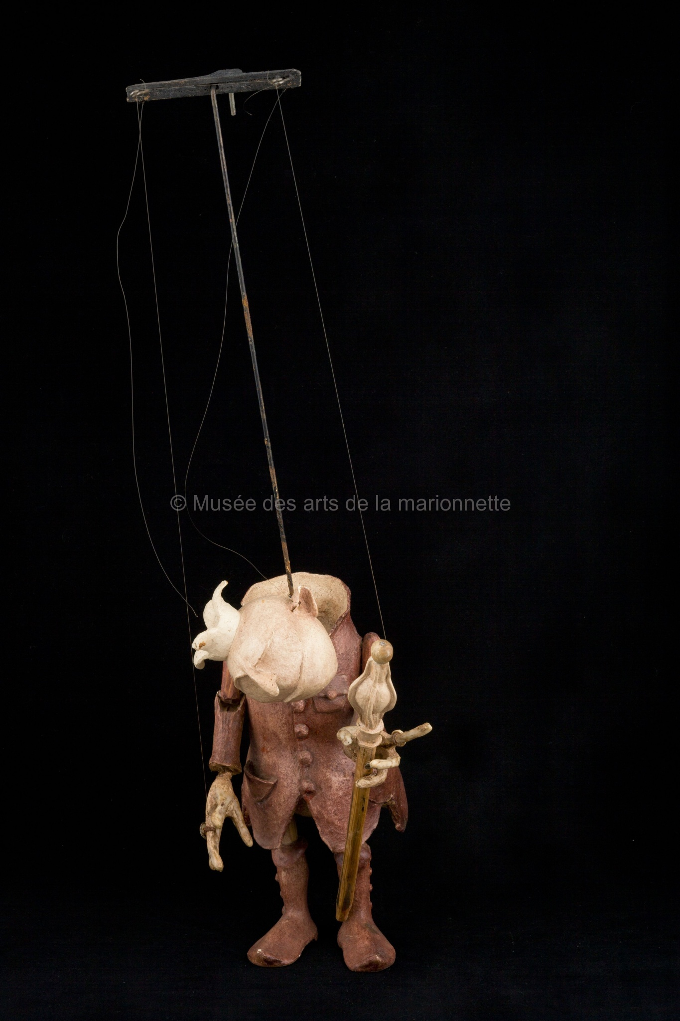 La citrouille en un jardin : le roi