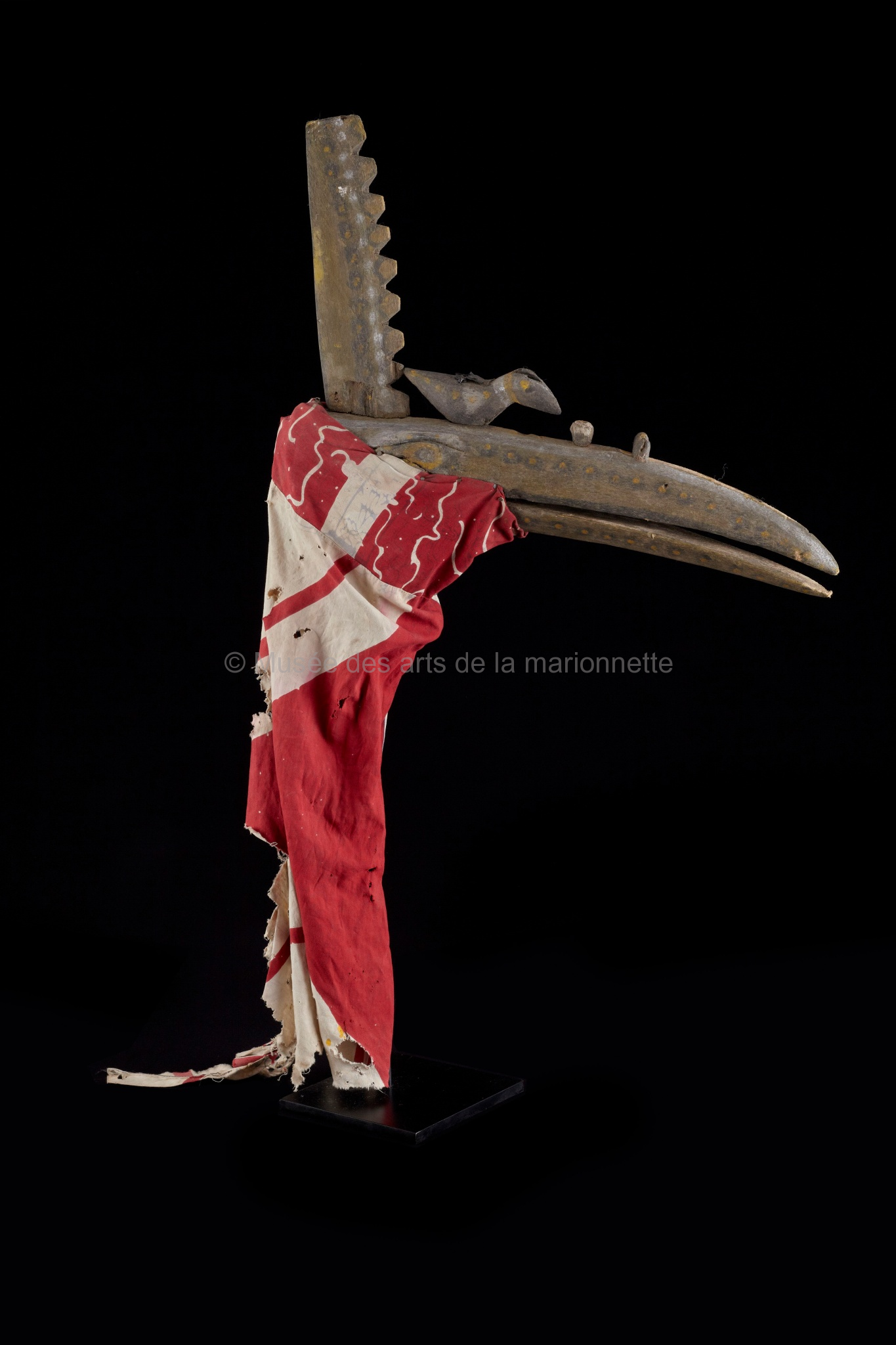 Le Kalao Koté Kono, l'oiseau sacré