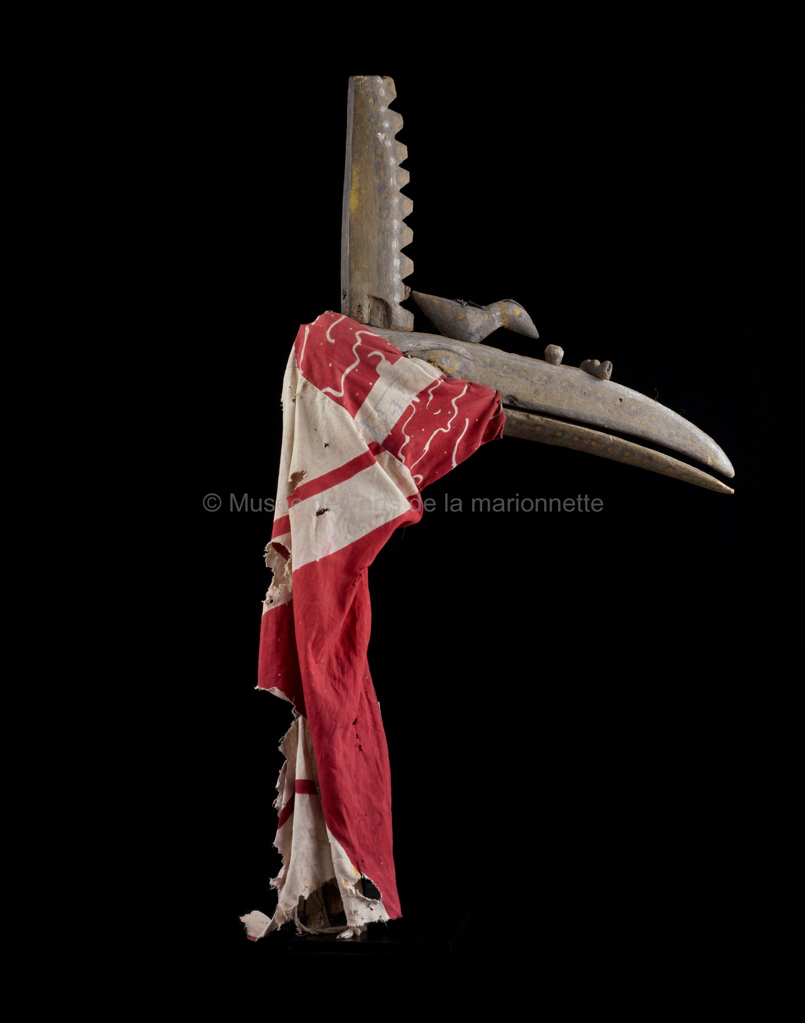 Le Kalao Koté Kono, l'oiseau sacré