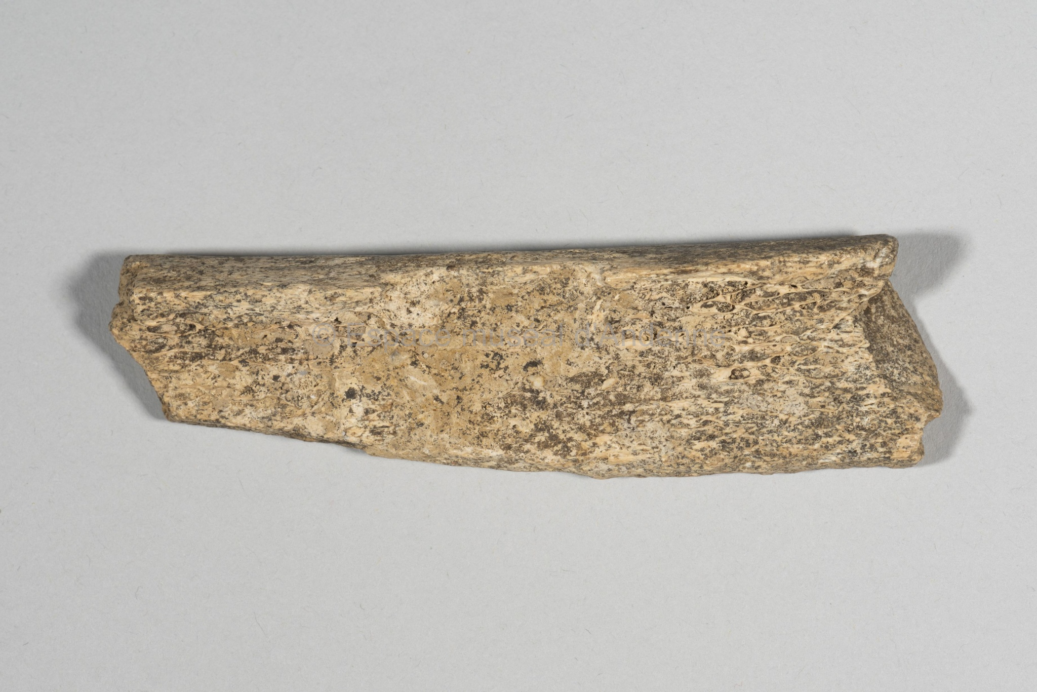 Bos/Bison, côte, fragment, retouchoir