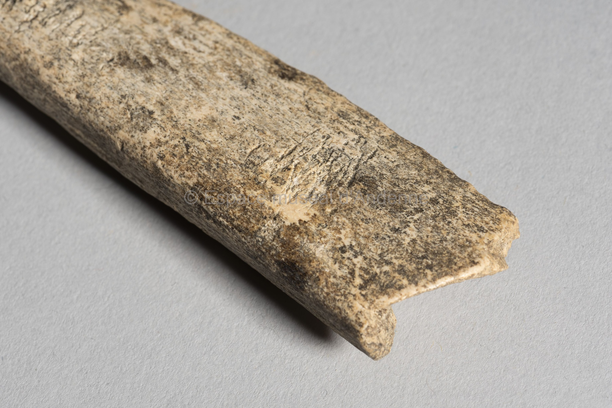 Bos/Bison, côte, fragment, retouchoir