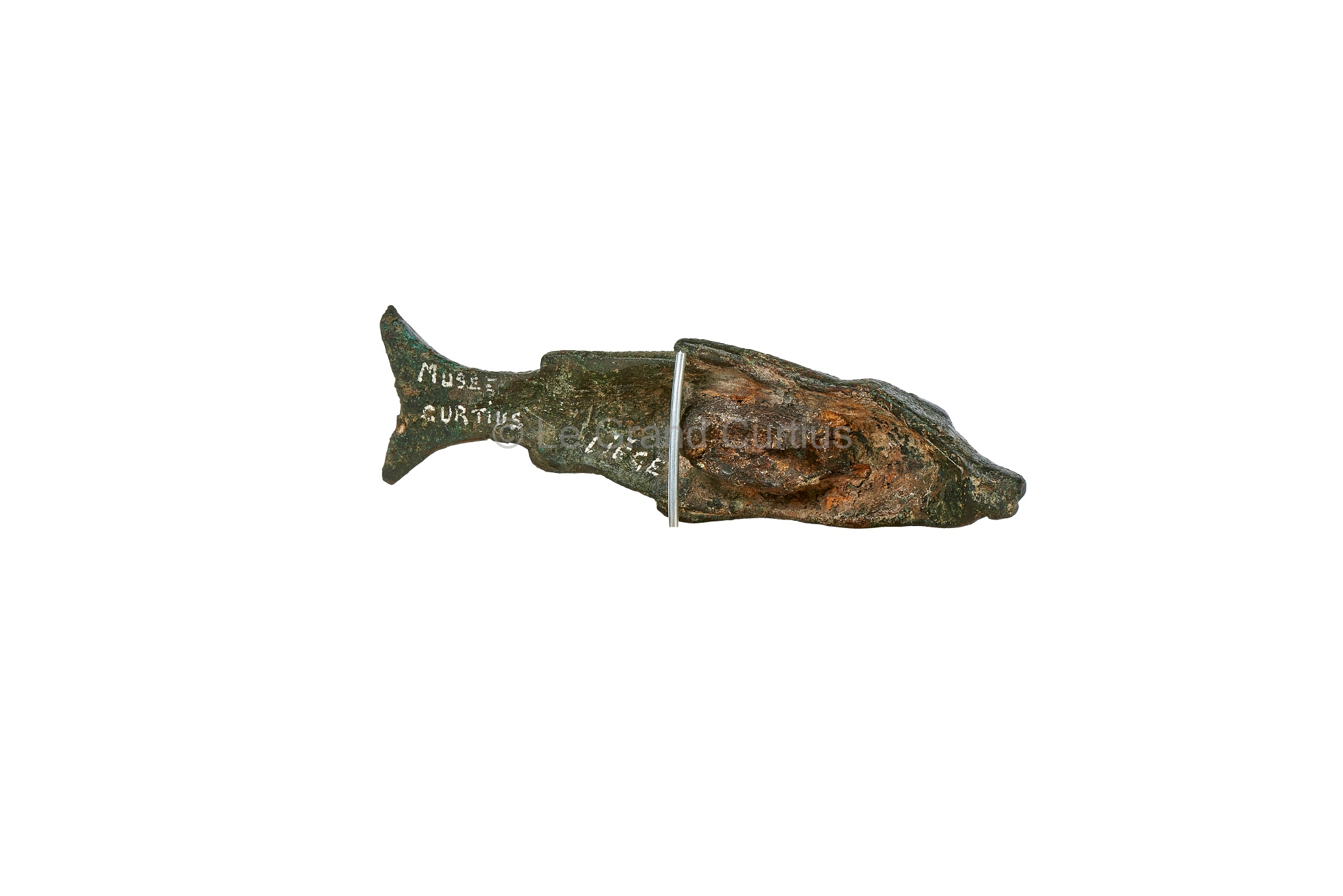 Bronzes mithriaques d'Angleur : Poisson